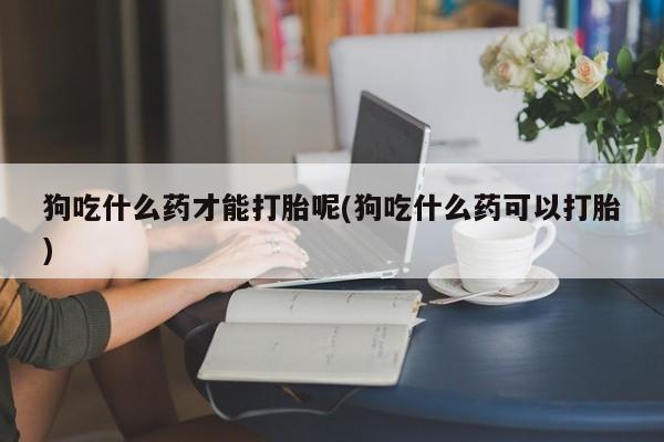 堕胎药货到付款狗吃什么药才能打胎呢(狗吃什么药可以打胎)
